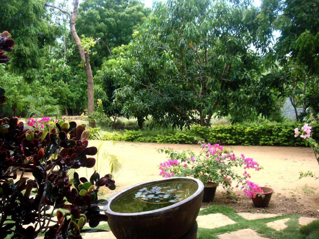 Le Grand Meaulnes Hotel Habarana Exterior foto